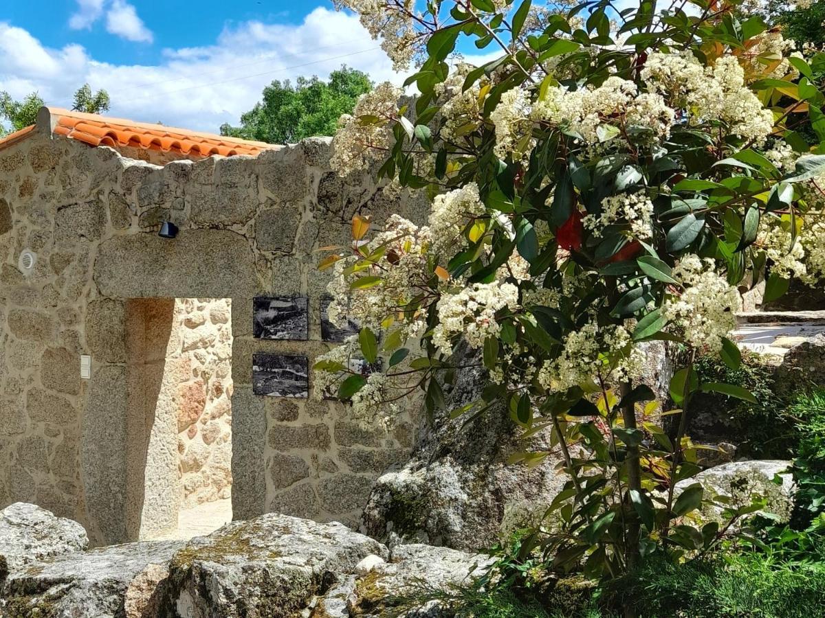 Villa Fragas Do Lobo - Casa Da Azenha *